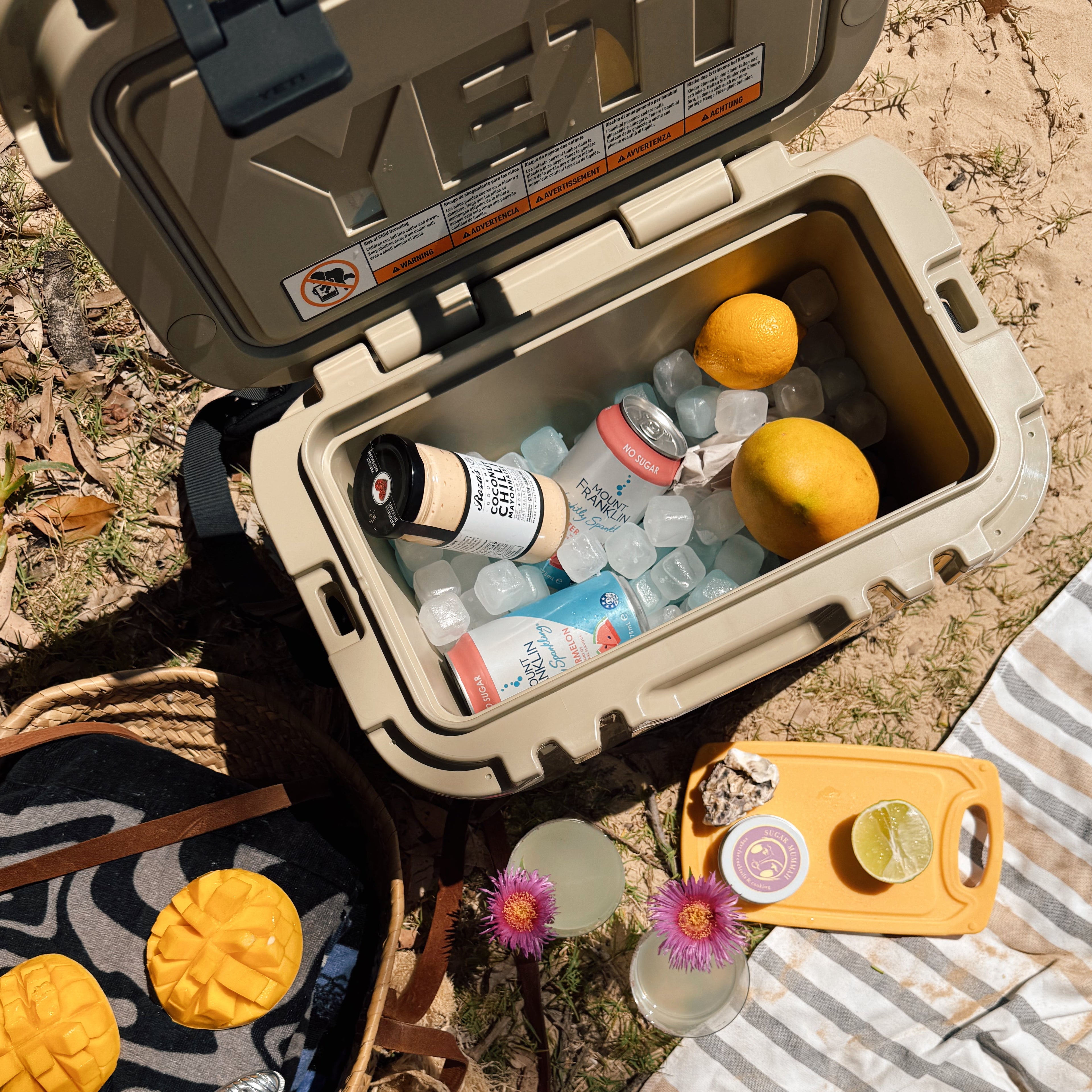 Cooler packed with Qubes reusable ice cubes on an outdoor trip